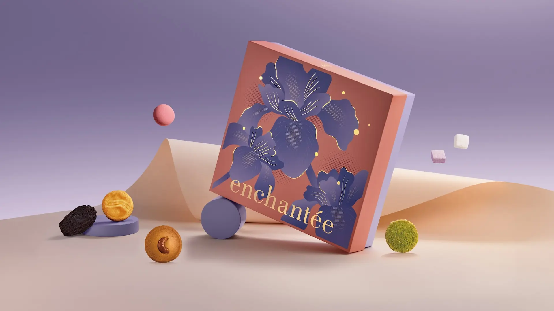 官網更新20251111 42