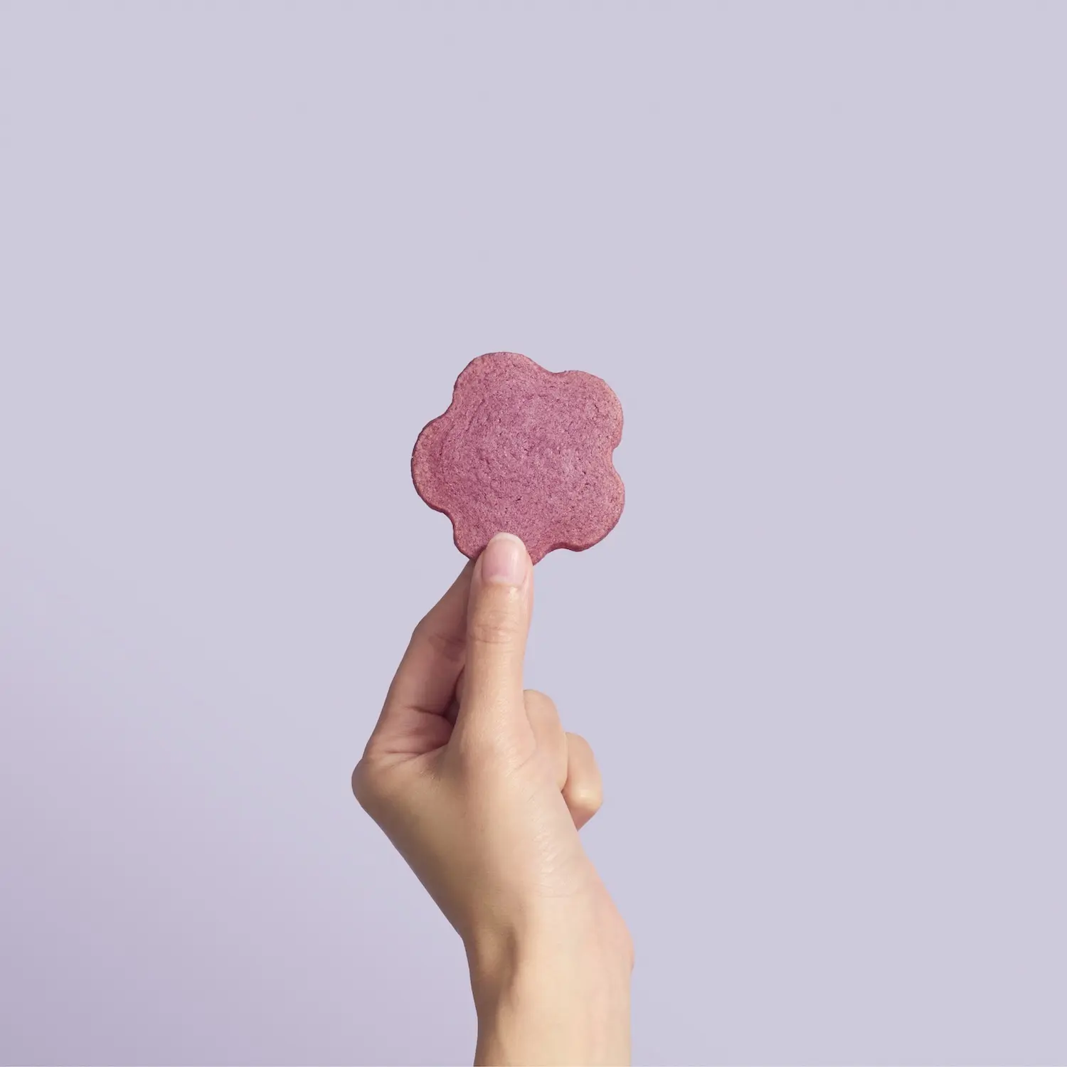 2026端午官網圖 35 2026端午官網圖 35